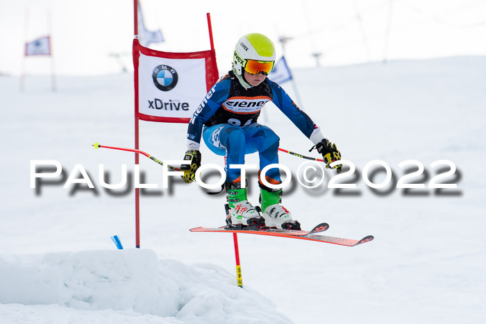 Ziener Kids Race Cross U12  Reg III + Ziener Cup WF