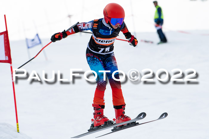 Ziener Kids Race Cross U12  Reg III + Ziener Cup WF