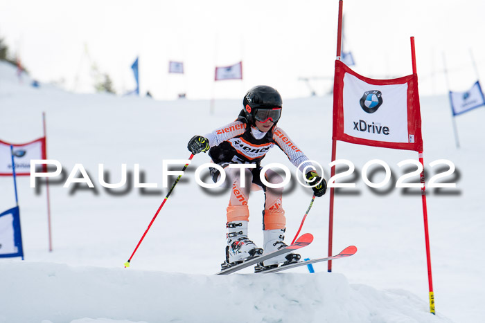 Ziener Kids Race Cross U12  Reg III + Ziener Cup WF