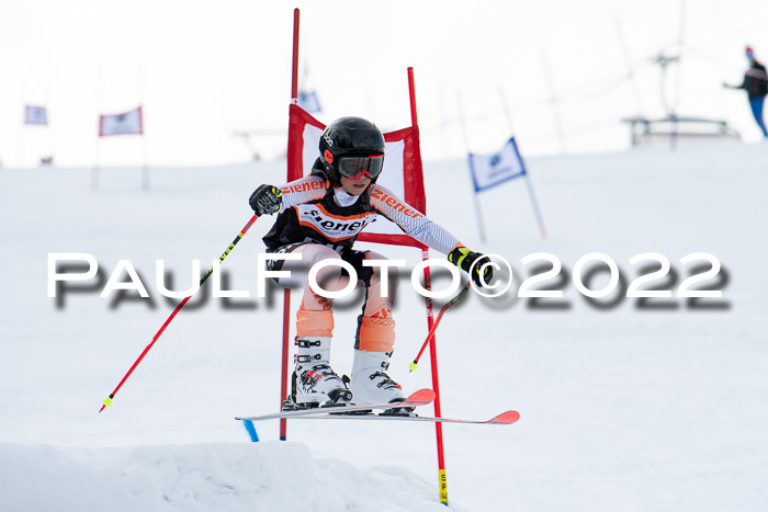 Ziener Kids Race Cross U12  Reg III + Ziener Cup WF