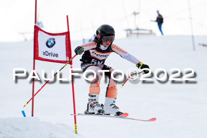 Ziener Kids Race Cross U12  Reg III + Ziener Cup WF