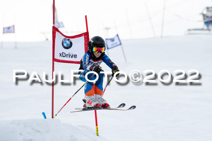 Ziener Kids Race Cross U12  Reg III + Ziener Cup WF