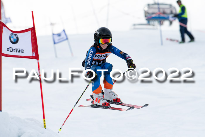 Ziener Kids Race Cross U12  Reg III + Ziener Cup WF