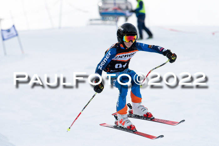 Ziener Kids Race Cross U12  Reg III + Ziener Cup WF