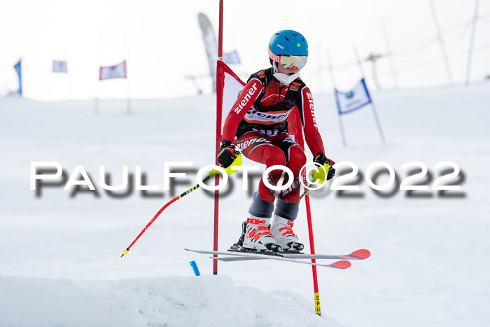 Ziener Kids Race Cross U12  Reg III + Ziener Cup WF