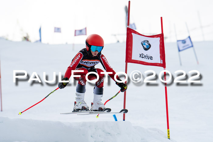 Ziener Kids Race Cross U12  Reg III + Ziener Cup WF