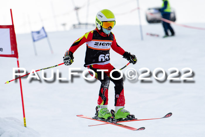 Ziener Kids Race Cross U12  Reg III + Ziener Cup WF