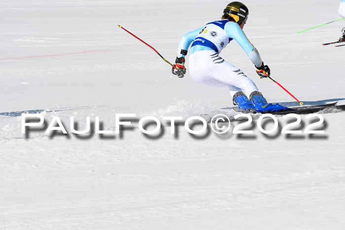 Team Parallelslalom Dt. Meisterschaft, 25.02.2022