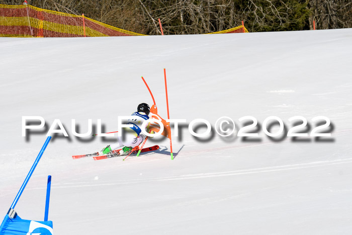 Team Parallelslalom Dt. Meisterschaft, 25.02.2022