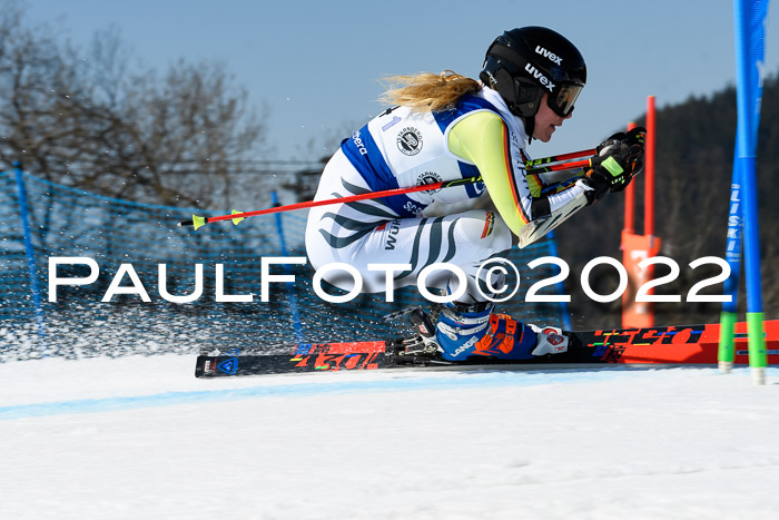 Team Parallelslalom Dt. Meisterschaft, 25.02.2022