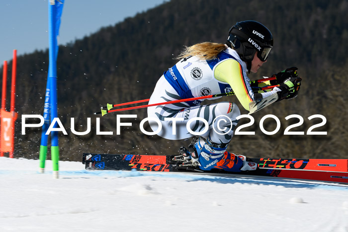 Team Parallelslalom Dt. Meisterschaft, 25.02.2022