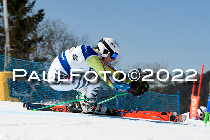 Team Parallelslalom Dt. Meisterschaft, 25.02.2022