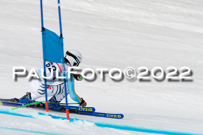 NC + FIS, Super-G, Damen + Herren, 29.03.2022