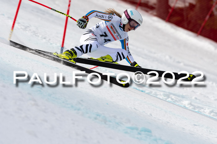 NC + FIS, Super-G, Damen + Herren, 29.03.2022