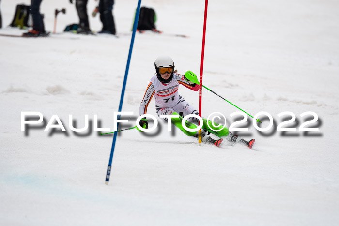 FIS AC + NC AC Slalom Damen + Herren 30.03.2022