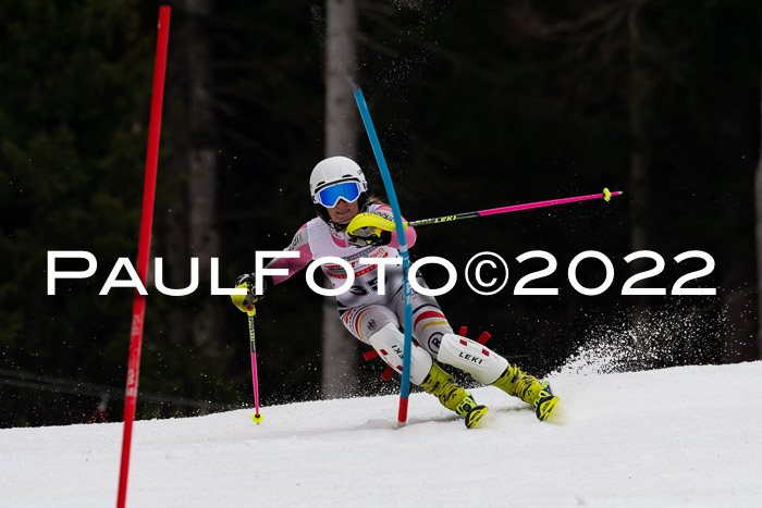 FIS AC + NC AC Slalom Damen + Herren 30.03.2022