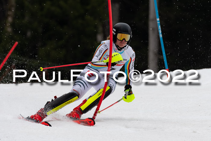 FIS AC + NC AC Slalom Damen + Herren 30.03.2022