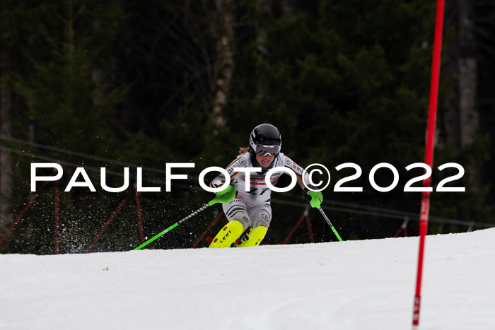 FIS AC + NC AC Slalom Damen + Herren 30.03.2022