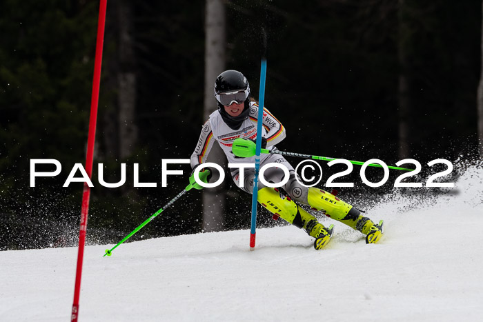 FIS AC + NC AC Slalom Damen + Herren 30.03.2022