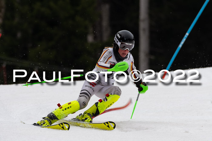 FIS AC + NC AC Slalom Damen + Herren 30.03.2022