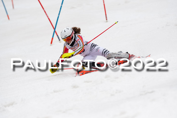 FIS AC + NC AC Slalom Damen + Herren 30.03.2022