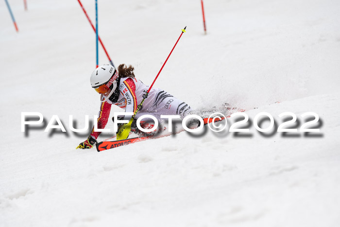 FIS AC + NC AC Slalom Damen + Herren 30.03.2022