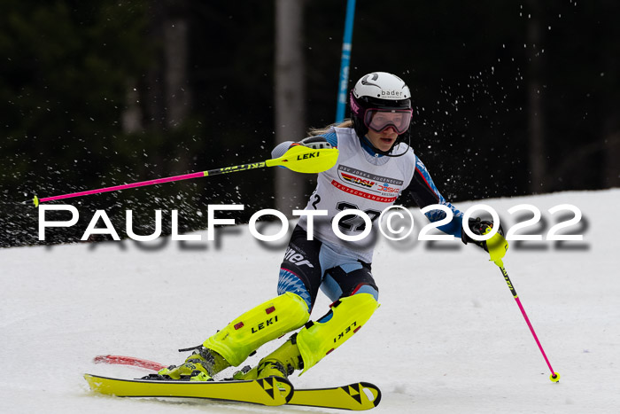 FIS AC + NC AC Slalom Damen + Herren 30.03.2022