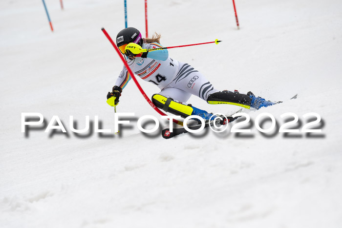 FIS AC + NC AC Slalom Damen + Herren 30.03.2022