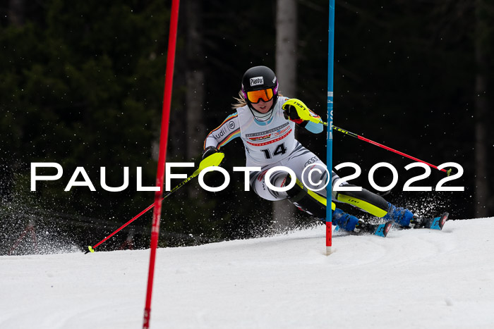 FIS AC + NC AC Slalom Damen + Herren 30.03.2022