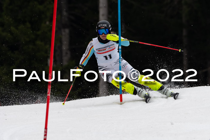 FIS AC + NC AC Slalom Damen + Herren 30.03.2022