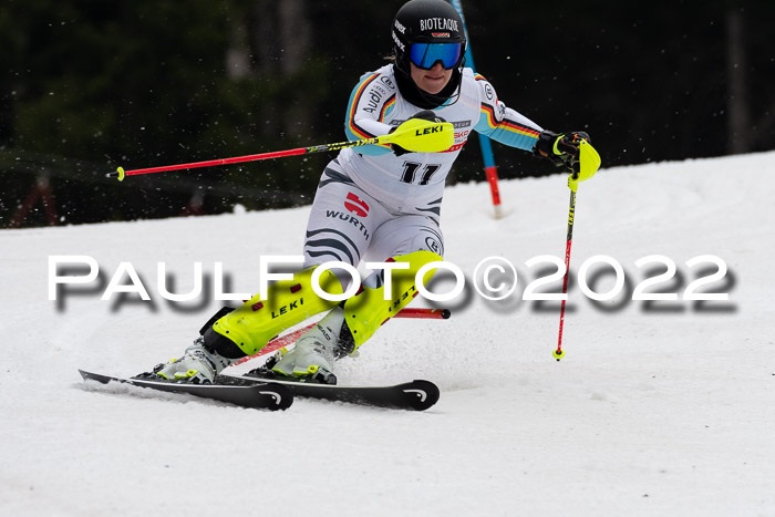 FIS AC + NC AC Slalom Damen + Herren 30.03.2022