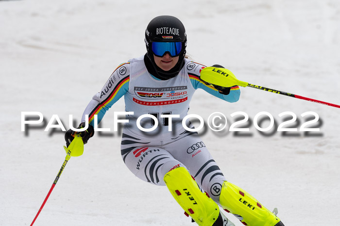 FIS AC + NC AC Slalom Damen + Herren 30.03.2022