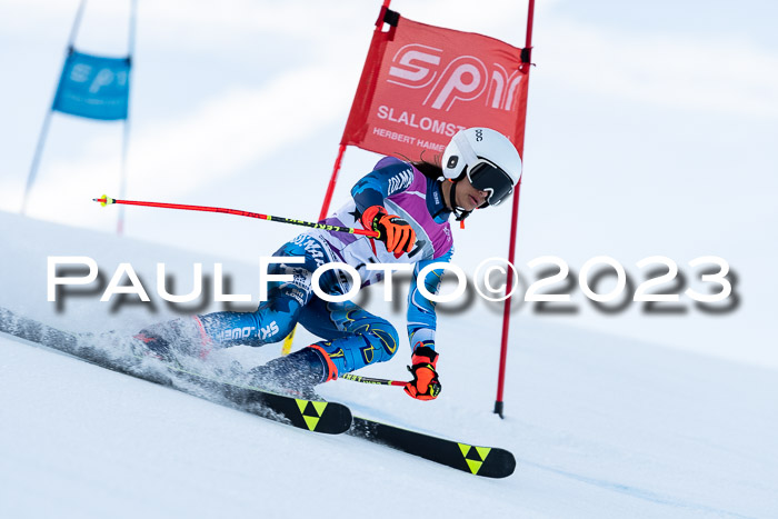 2. SVM Cup Willi-Wein-Gedächtnisrennen, RS, 06.01.2023