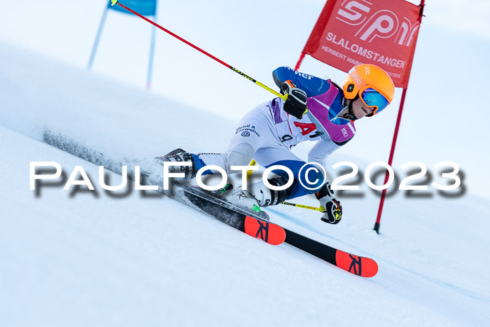 2. SVM Cup Willi-Wein-Gedächtnisrennen, RS, 06.01.2023