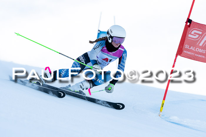 2. SVM Cup Willi-Wein-Gedächtnisrennen, RS, 06.01.2023