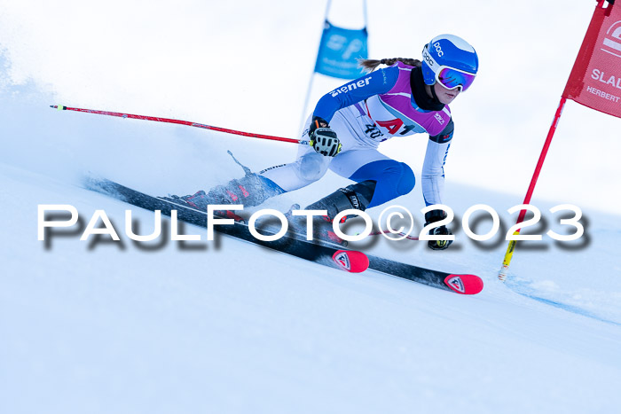 2. SVM Cup Willi-Wein-Gedächtnisrennen, RS, 06.01.2023