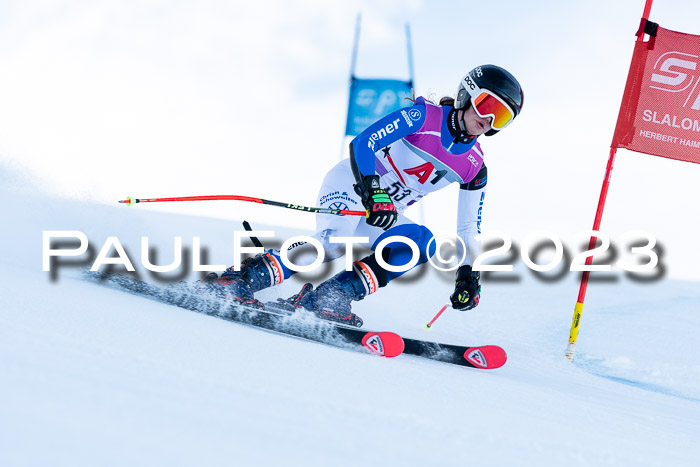 2. SVM Cup Willi-Wein-Gedächtnisrennen, RS, 06.01.2023