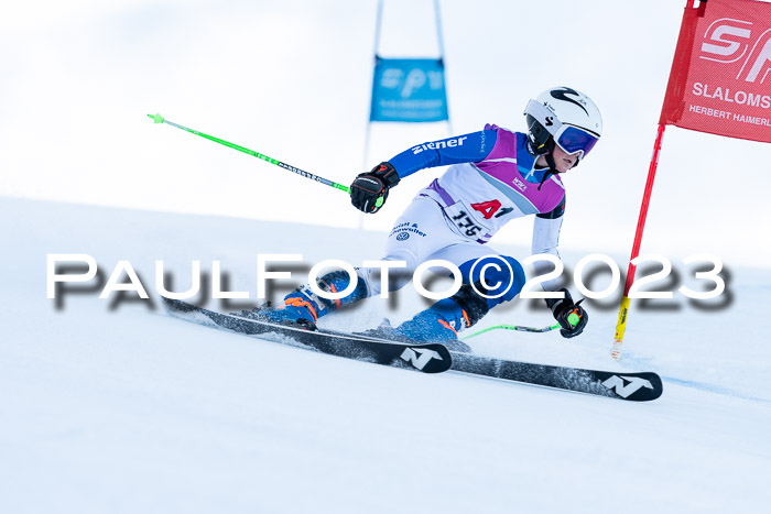 2. SVM Cup Willi-Wein-Gedächtnisrennen, RS, 06.01.2023