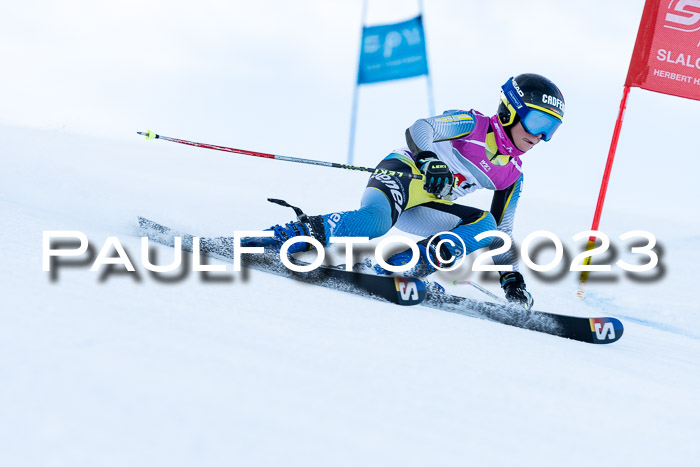 2. SVM Cup Willi-Wein-Gedächtnisrennen, RS, 06.01.2023