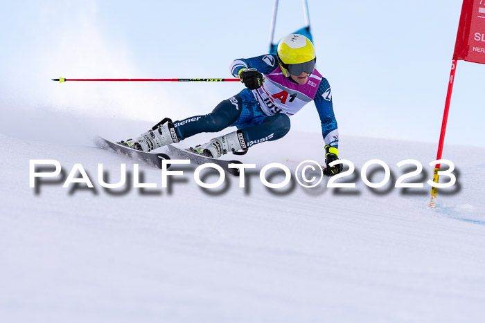 2. SVM Cup Willi-Wein-Gedächtnisrennen, RS, 06.01.2023