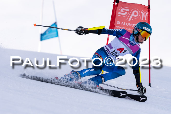 2. SVM Cup Willi-Wein-Gedächtnisrennen, RS, 06.01.2023