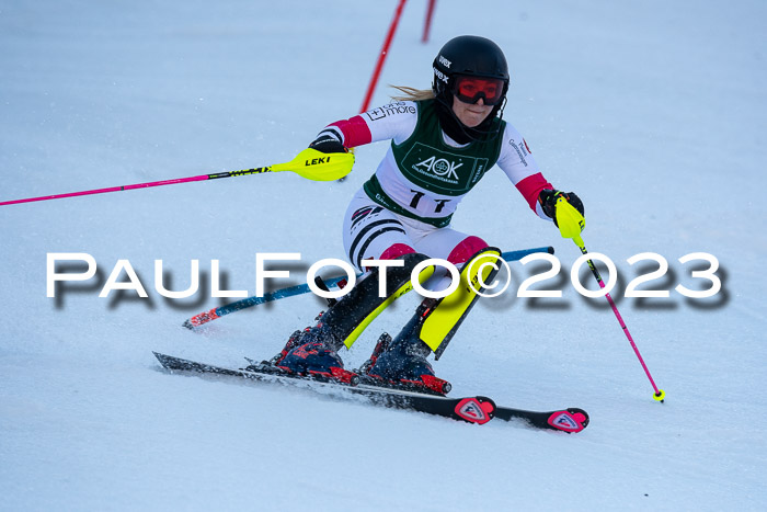 FIS Slalom + NJC Damen + FIS Herren 22.02.2020