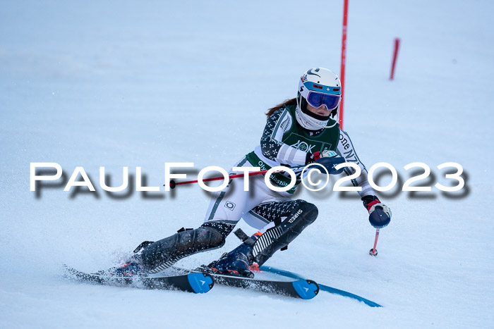 FIS Slalom + NJC Damen + FIS Herren 22.02.2020