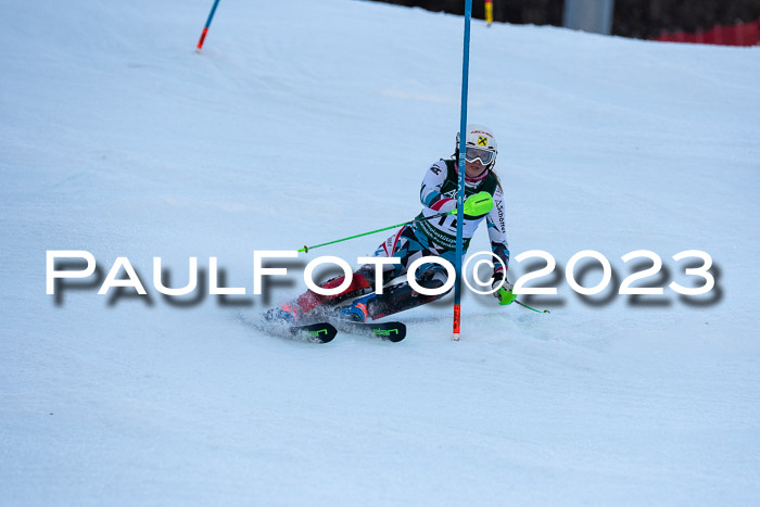 FIS Slalom + NJC Damen + FIS Herren 22.02.2020