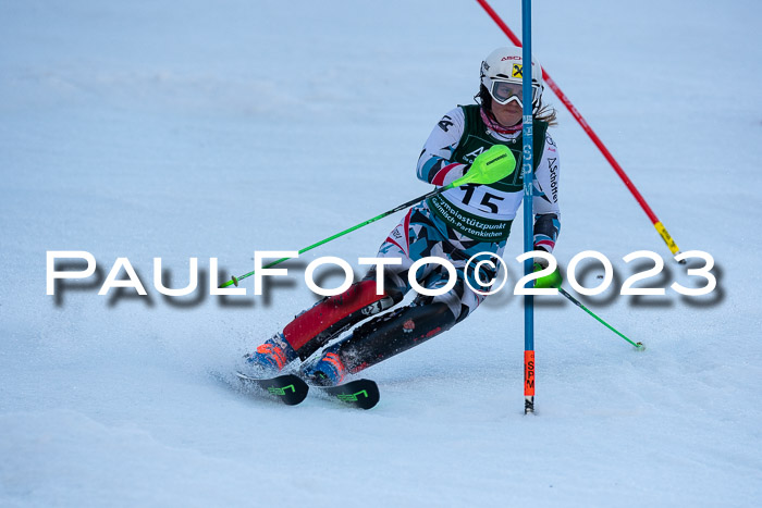 FIS Slalom + NJC Damen + FIS Herren 22.02.2020