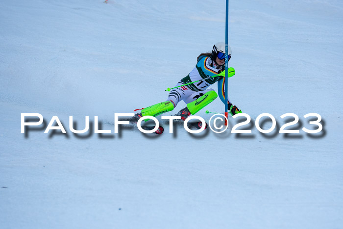 FIS Slalom + NJC Damen + FIS Herren 22.02.2020