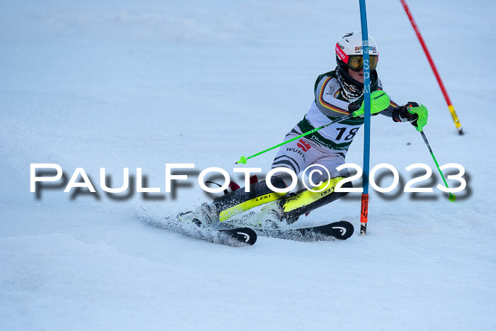 FIS Slalom + NJC Damen + FIS Herren 22.02.2020