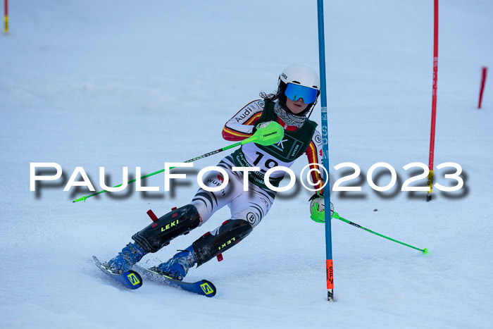 FIS Slalom + NJC Damen + FIS Herren 22.02.2020