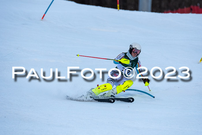 FIS Slalom + NJC Damen + FIS Herren 22.02.2020