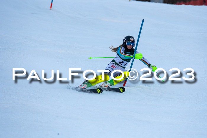 FIS Slalom + NJC Damen + FIS Herren 22.02.2020